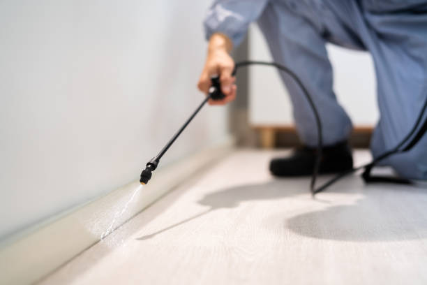 Licensed Pest Control service in Beale AFB, CA - Show Me Pest Control