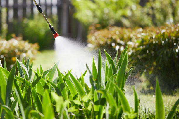 24/7 Emergency Mosquito Control experts in Beale AFB, CA