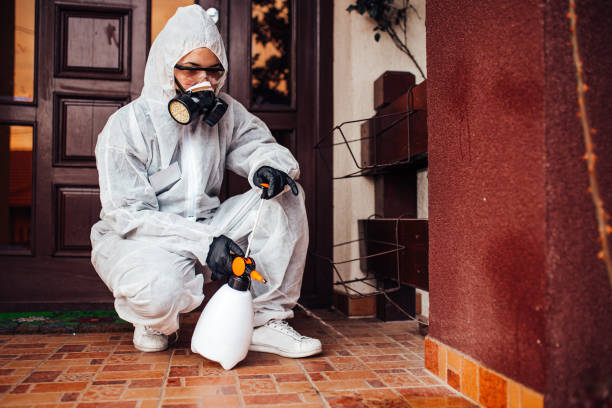 Reliable Mosquito Control contractor in Beale AFB, CA by Show Me Pest Control